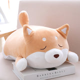 Sleeping Shiba